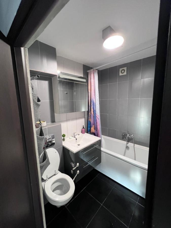 3 Rooms Apartment Palace View Iasi Ngoại thất bức ảnh